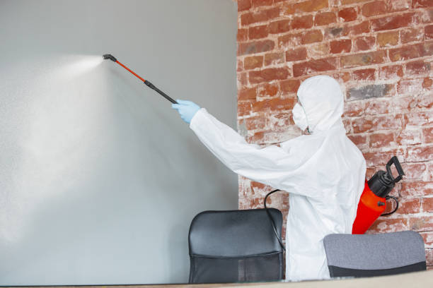 Trusted Oakdale, PA Mold Removal Experts